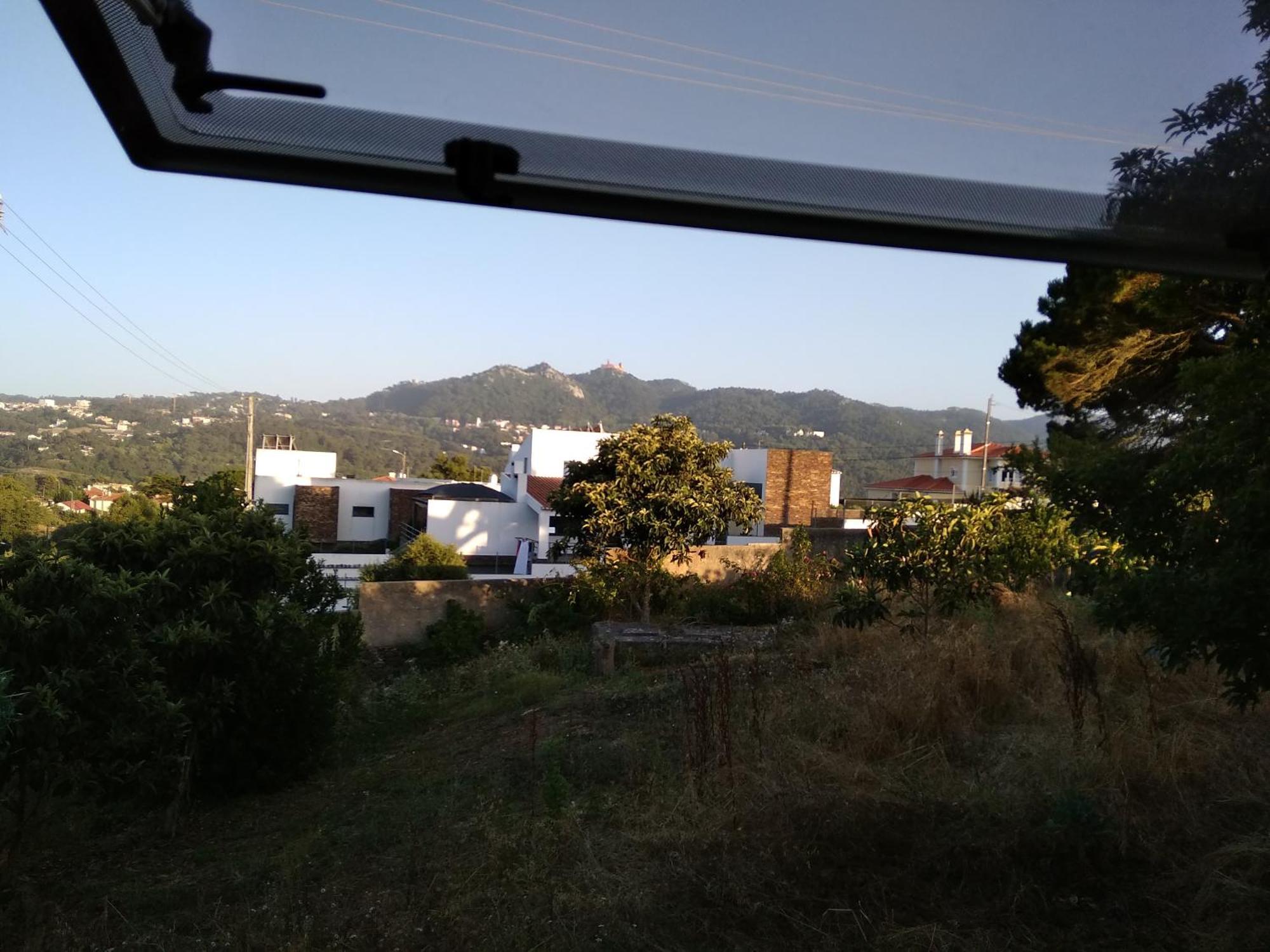 Galo Preto - Sintra Guesthouse Room photo