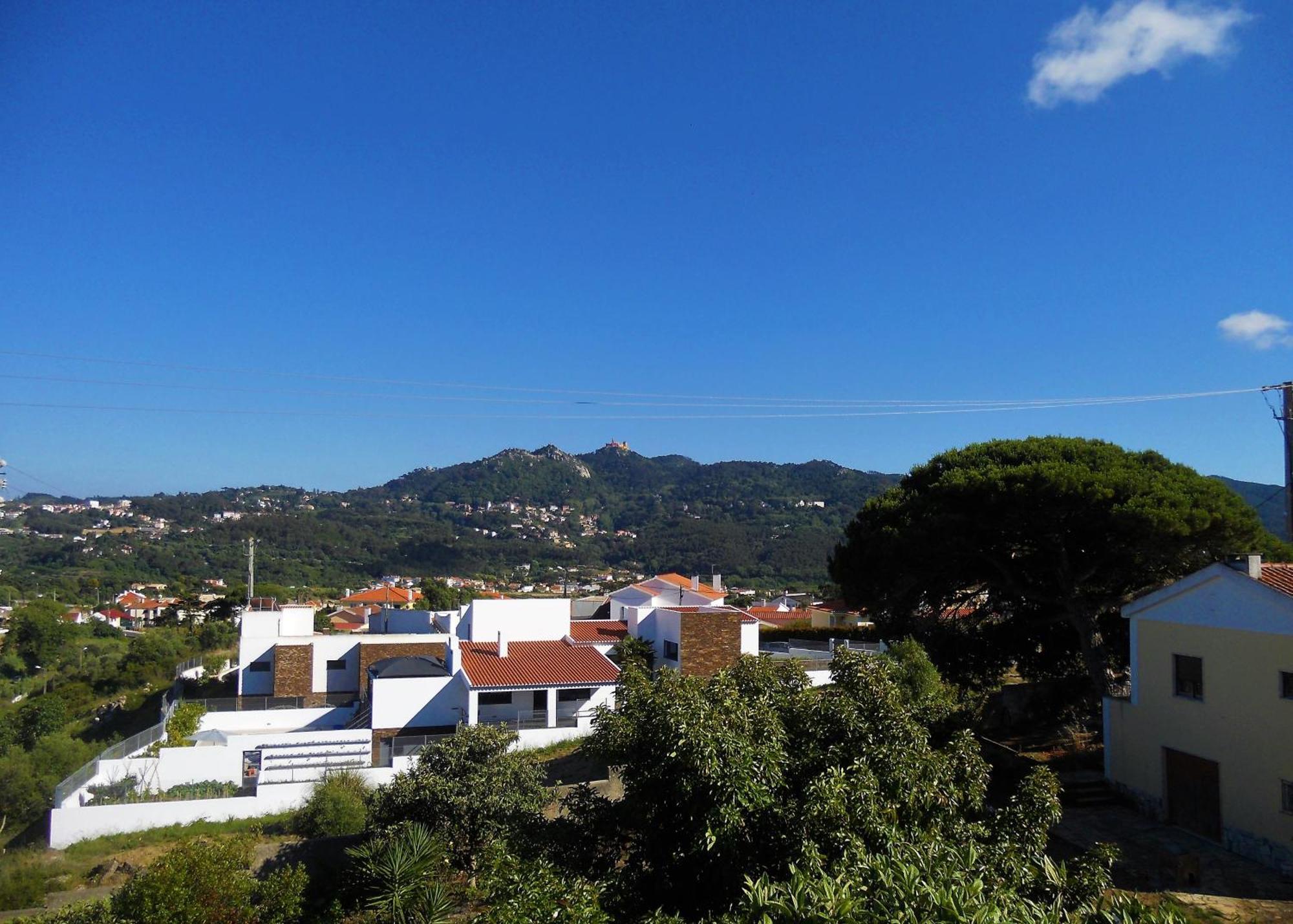 Galo Preto - Sintra Guesthouse Room photo